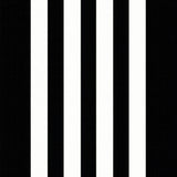 Stylish Minimalist Arrangement(Black)