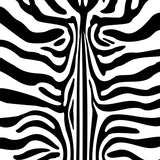 Safari Zebra Print Faux Suede Area(Black)