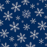 Falling Snow Crystal Entryway with Midnight Sky Background(Blue)