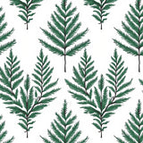 Snowy Fir Branch Semicircular Welcome Icy Half Round(Green)