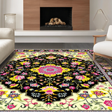 Ultra Soft Area Rug, Non Slip, Stain Resistant, Washable Area Rugs for Living Room, Bedroom, Sophisticated Multicolored Artful Motif(Black)