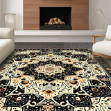 Ultra Soft Area Rug, Non Slip, Stain Resistant, Washable Area Rugs for Living Room, Bedroom, Rustic Textured Fringe Decoration(Orange)