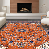 Ultra Soft Area Rug, Non Slip, Stain Resistant, Washable Area Rugs for Living Room, Bedroom, Chic Soft Color Palette Inspiration(Orange)
