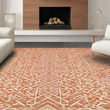 Ultra Soft Area Rug, Non Slip, Stain Resistant, Washable Area Rugs for Living Room, Bedroom, Modern Chic Knotted Tassel Aesthetic(Orange)