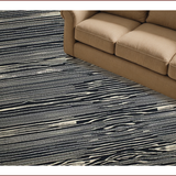 Ultra Soft Area Rug, Non Slip, Stain Resistant, Washable Area Rugs for Living Room, Bedroom, Chic Black and White Design(Black)