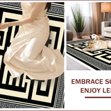 Ultra Soft Area Rug, Non Slip, Stain Resistant, Washable Area Rugs for Living Room, Bedroom, Modern Neutral Home Office Low Pile Rug(Black)