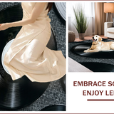 Ultra Soft Area Rug, Non Slip, Stain Resistant, Washable Area Rugs for Living Room, Bedroom, Retro Vinyl Record Non-Slip Area Rug(Black) - ODIKA