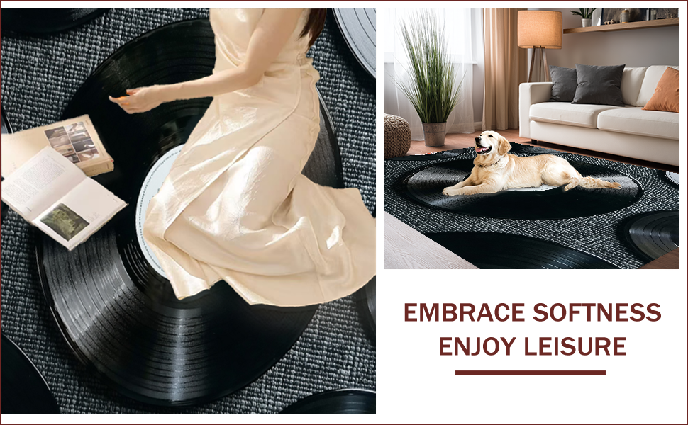Ultra Soft Area Rug, Non Slip, Stain Resistant, Washable Area Rugs for Living Room, Bedroom, Retro Vinyl Record Non-Slip Area Rug(Black) - ODIKA