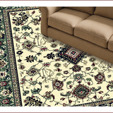 Ultra Soft Area Rug, Non Slip, Stain Resistant, Washable Area Rugs for Living Room, Bedroom, Distressed Vintage Neutral Living Room Area Rug(Ivory)