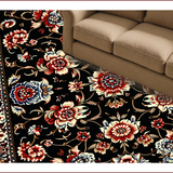 Ultra Soft Area Rug, Non Slip, Stain Resistant, Washable Area Rugs for Living Room, Bedroom, Paisley Floral Thin(Black)