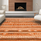 Ultra Soft Area Rug, Non Slip, Stain Resistant, Washable Area Rugs for Living Room, Bedroom, Vibrant Rustic Shag Appeal(Orange)