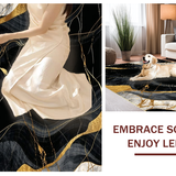 Ultra Soft Area Rug, Non Slip, Stain Resistant, Washable Area Rugs for Living Room, Bedroom, Modern Chic Abstract Elements(Black)