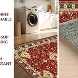 Ultra Soft Area Rug, Non Slip, Stain Resistant, Washable Area Rugs for Living Room, Bedroom, Transitional Cream and Gold Aesthetic(Red)