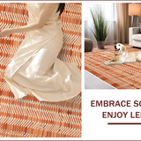 Ultra Soft Area Rug, Non Slip, Stain Resistant, Washable Area Rugs for Living Room, Bedroom, Solid Plush Shag(Brown)