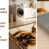 Ultra Soft Area Rug, Non Slip, Stain Resistant, Washable Area Rugs for Living Room, Bedroom, Distinctive Fluffy Highland Design(Brown)