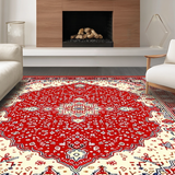 Ultra Soft Area Rug, Non Slip, Stain Resistant, Washable Area Rugs for Living Room, Bedroom, Vibrant Medallion Patterned Elegance(White)