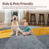 Ultra Soft Area Rug, Non Slip, Stain Resistant, Washable Area Rugs for Living Room, Bedroom, Modern Abstract Non-Shedding Living Room(Gray)