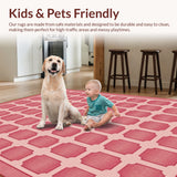 Ultra Soft Area Rug, Non Slip, Stain Resistant, Washable Area Rugs for Living Room, Bedroom, Western Preppy Cowgirl Door(Pink)