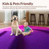 Ultra Soft Area Rug, Non Slip, Stain Resistant, Washable Area Rugs for Living Room, Bedroom, Plush Shaggy Kids(Purple)