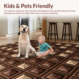 Ultra Soft Area Rug, Non Slip, Stain Resistant, Washable Area Rugs for Living Room, Bedroom, Southwestern(Brown)