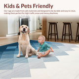 Ultra Soft Area Rug, Non Slip, Stain Resistant, Washable Area Rugs for Living Room, Bedroom, Plush Aesthetic Home Decor Non-Shedding Carpet(Blue)