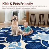 Ultra Soft Area Rug, Non Slip, Stain Resistant, Washable Area Rugs for Living Room, Bedroom, Waterproof Plastic Straw(Blue)