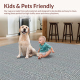 Ultra Soft Area Rug, Non Slip, Stain Resistant, Washable Area Rugs for Living Room, Bedroom, Western Aesthetic Throw Rug(Gray)