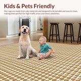Ultra Soft Area Rug, Non Slip, Stain Resistant, Washable Area Rugs for Living Room, Bedroom, Fringed Power Loomed(Beige)