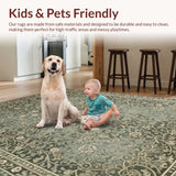 Ultra Soft Area Rug, Non Slip, Stain Resistant, Washable Area Rugs for Living Room, Bedroom, Boho Washable Rubber Backed(Gray)