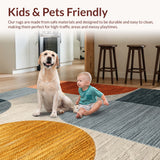 Ultra Soft Area Rug, Non Slip, Stain Resistant, Washable Area Rugs for Living Room, Bedroom, Modern Abstract Thin Washable(Gray)