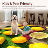Ultra Soft Area Rug, Non Slip, Stain Resistant, Washable Area Rugs for Living Room, Bedroom, fruit lemon bath mat(Yellow)