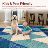 Ultra Soft Area Rug, Non Slip, Stain Resistant, Washable Area Rugs for Living Room, Bedroom, Ocean Beach Waves Polyester(Blue)