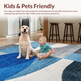 Ultra Soft Area Rug, Non Slip, Stain Resistant, Washable Area Rugs for Living Room, Bedroom, Modern Abstract Easy Care Living Room(Blue)