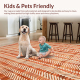 Ultra Soft Area Rug, Non Slip, Stain Resistant, Washable Area Rugs for Living Room, Bedroom, Solid Plush Shag(Brown)