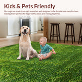 Ultra Soft Area Rug, Non Slip, Stain Resistant, Washable Area Rugs for Living Room, Bedroom, 3D Shag Moss(Green)