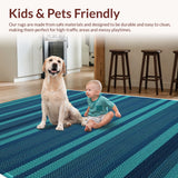 Ultra Soft Area Rug, Non Slip, Stain Resistant, Washable Area Rugs for Living Room, Bedroom, Boho Chic Distressed(Blue)