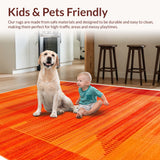 Ultra Soft Area Rug, Non Slip, Stain Resistant, Washable Area Rugs for Living Room, Bedroom, Fluffy Shaggy Nursery(Orange)