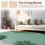 Ultra Soft Area Rug, Non Slip, Stain Resistant, Washable Area Rugs for Living Room, Bedroom, Tropical Monstera Leaf Runner(Gray)