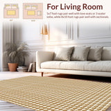 Ultra Soft Area Rug, Non Slip, Stain Resistant, Washable Area Rugs for Living Room, Bedroom, Fringed Power Loomed(Beige)