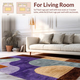 Ultra Soft Area Rug, Non Slip, Stain Resistant, Washable Area Rugs for Living Room, Bedroom, Neutral Abstract Low Pile(Brown)