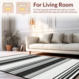 Stylish Black and White Geometric Striped Area(Gray)