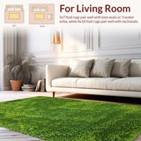 Ultra Soft Area Rug, Non Slip, Stain Resistant, Washable Area Rugs for Living Room, Bedroom, 3D Shag Moss(Green)