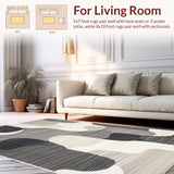 Ultra Soft Area Rug, Non Slip, Stain Resistant, Washable Area Rugs for Living Room, Bedroom, Abstract Modern Washable(Gray)
