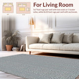 Ultra Soft Area Rug, Non Slip, Stain Resistant, Washable Area Rugs for Living Room, Bedroom, Western Aesthetic Throw Rug(Gray)