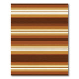 Warm Brown Tan Horizontal Striped Area Rug