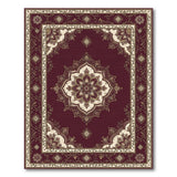 Traditional Persian Red Medallion Floral Area Rug