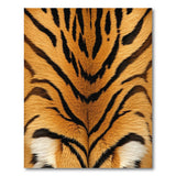 Geometric Modern Bold Orange Tiger Stripe Area Rug