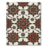 Southwestern Starburst Feather Multi-Color Area Rug