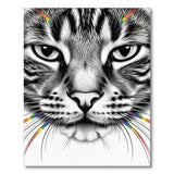 Rainbow Cat Whiskers Area Rug
