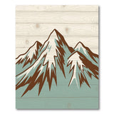 Teal Mountains Rustic Wood Plank Area Rug